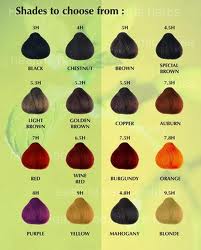 nuances des cheveux
